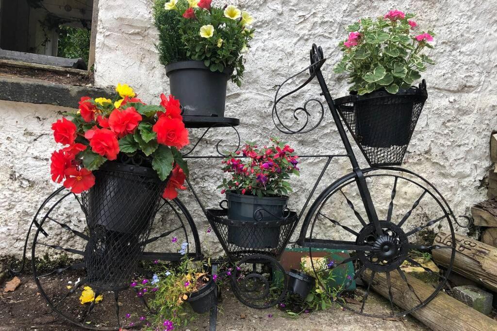 Rhubarb Cottage Enniskillen Exterior foto