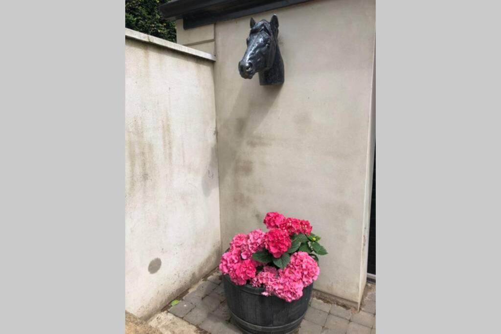 Rhubarb Cottage Enniskillen Exterior foto