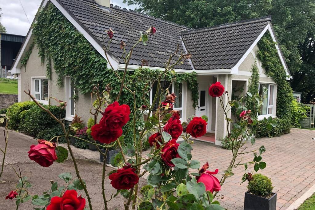 Rhubarb Cottage Enniskillen Exterior foto